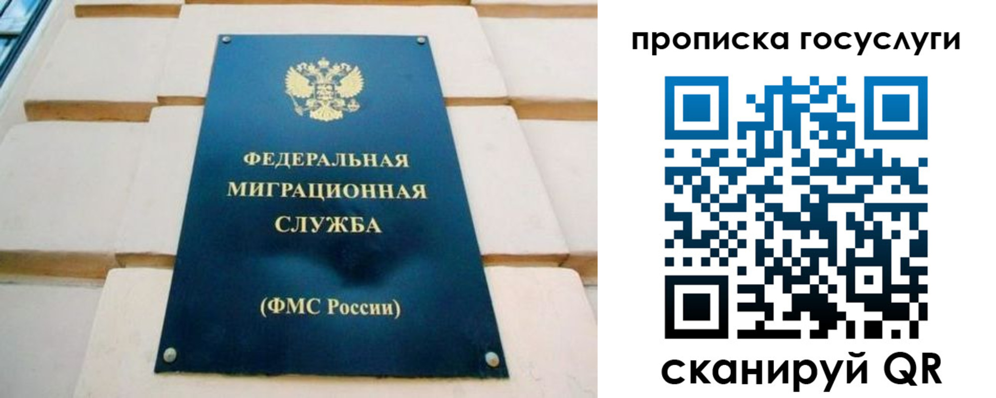 прописка поиск в Чехове